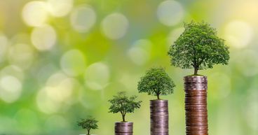 7 growth stocks not to be missed in 2022