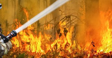 Labour party pledges for an emergency response fund revamp