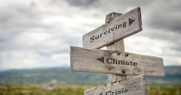 Has COVID-19 pandemic proven more hostile to developing economies?