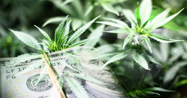 Organigram (TSX: OGI) jumps 6% after sharp dip: A pot stock to watch?