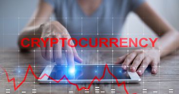 Little known WOLFI token just surged by 1,000%: Is it a scam?