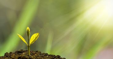 What is Green Investment?