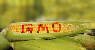 How biotechnology can help amid high food inflation