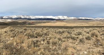 Jindalee Resources (ASX:JRL) capitalising on promising trends in US lithium market