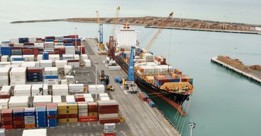 NPH & POT: A glance at 2 NZX port stocks