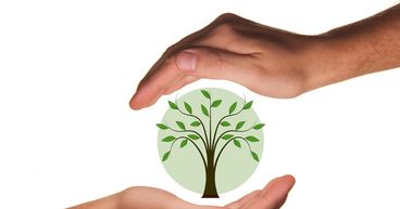 What is Canada’s Nature Smart Climate Solutions Fund (NSCSF)?