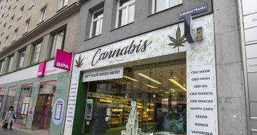 Tilray Brands (TLRY) gross profit up 31% in Q3 driven by strong sales