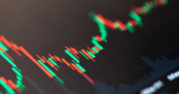 What is Shiba Toby crypto & why its volume soared 9,000%? Is it scam?