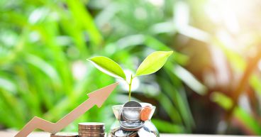 PHL, RUA, CBD: Can these penny stocks from healthcare offer growth?