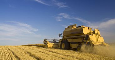 5 agriculture stocks to explore as food inflation spikes: ADM to FMC