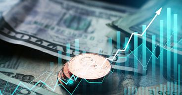 CBD, MHM, TWR: 3 penny stocks flying high on NZX today