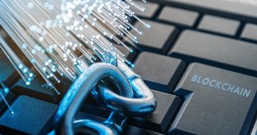 Is Petoverse (PETO) crypto the new big name in the metaverse industry?