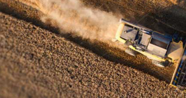 Aguia Resources (ASX:AGR) welcomes first ruling in TEPP case