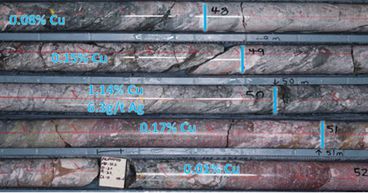 C29 Metals (ASX:C29) hits ‘promising’ skarn mineralisation at Reedy Creek