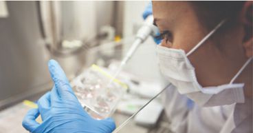Imugene achieves new milestone: First patient dosed in Phase 1 trial of VAXINIA