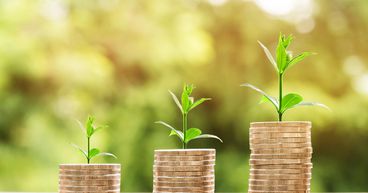 RCK, SVA, AFE, AMC & OYL: 5 TSXV smallcap stocks to watch in Q3 2022