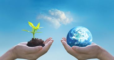 World Environment Day: Green investments that can earn you some green