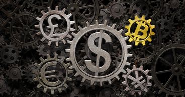  MSB, STC, REV, AMA, CEL: Tokens that grabbed eyeballs in volatile market 
