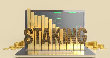 Can MoonBear.Finance (MBF) sustain its rally?