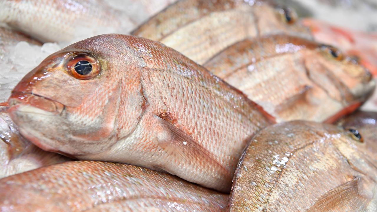 Fisheries report finds fish stocks stable