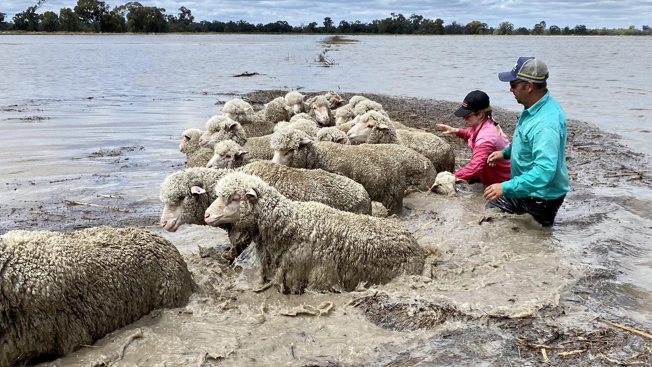 Flooded farmers blame basin mismanagement