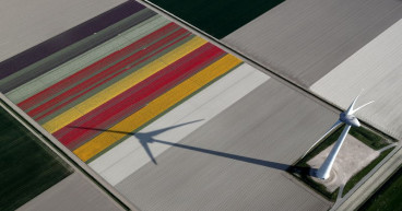 Winter warmer? Dutch homeowners put hydrogen heating to the test