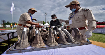 Rare rhinos dodge poachers in world's top reserve for first time since 1977