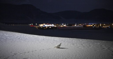 Church helps mining community evolve in dark, warming Arctic