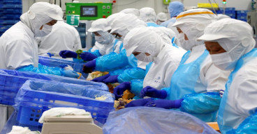 Japan's 2022 farm exports rise to a record for 10th-straight year