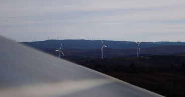 Portugal to speed up first offshore wind auction amid strong investor interest
