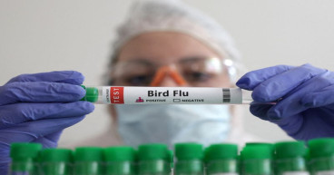 France reports bird flu outbreak in foxes near Paris, WOAH says