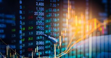  Three Stocks On The Rise - EHL, BIN And SVW 