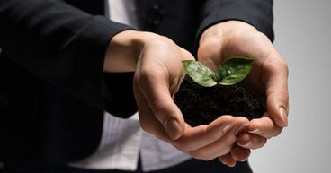 4 Microcap Stocks Being Watched on Earnings Update - KME, EAX, TNY and MPW