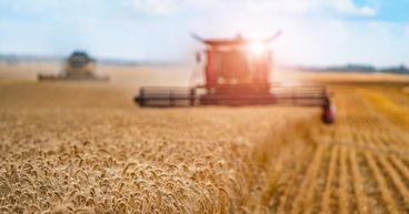 Soybean Futures Edge Up as Crop Reports Influence Market