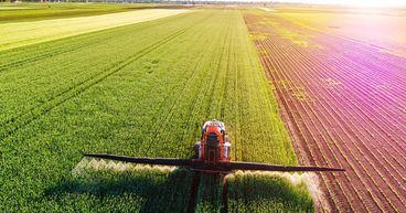 Why Is Nutrien’s Stock Performance Falling Short of Expectations?