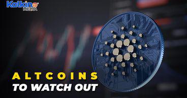 3 Altcoins To Consider In Bearish Market