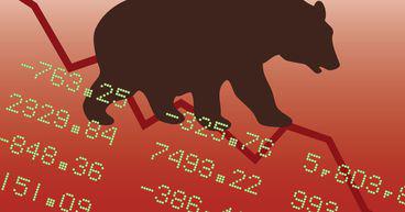 What is a bear market & how can investors survive it?
