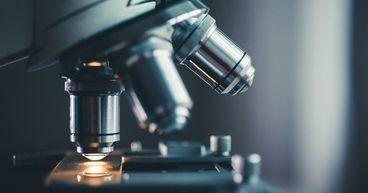 What Does Summit Therapeutics’ Latest Stock Option Grant Reveal?