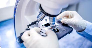 Disc Medicine Announces Positive Phase 1b Data for DISC-0974 in Myelofibrosis and Anemia at ASH 2024