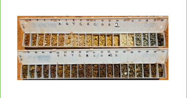 Catalina Resources (ASX:CTN) Reports ‘Exceptional Gold Results’ from First Hole at Yerilgee