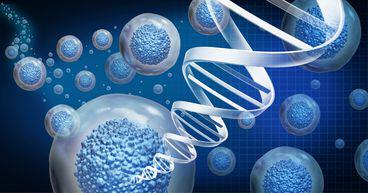  Cynata (ASX:CYP) focuses on clinical trials in September quarter 