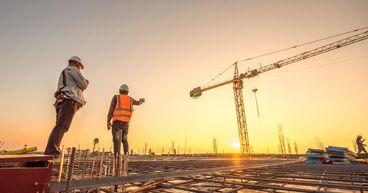 Why Insiders and Investors Dominate ADF Group’s Direction?