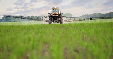Corn Prices See Modest Gains in Tuesday's Trade
