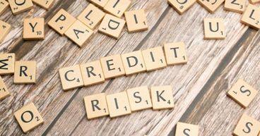 The Role of Counterparty Credit Risk in Investment Decision-Making