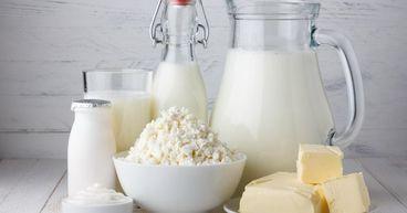 ASX 200 Dairy Stock Plunges: What Sparked the Sharp Sell-Off?