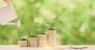 Guaranty Bancshares Announces Dividend Payment