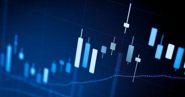  Estée Lauder: Evaluating Performance 