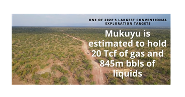 An overview of Invictus Energy’s (ASX:IVZ) world-class Mukuyu prospect