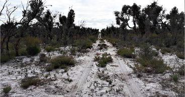 VRX Silica (ASX:VRX) commences drilling at Muchea Project, eyes enhanced project economics
