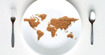 How is EarlyBirds driving innovation in NutriTech to tackle malnutrition and obesity?